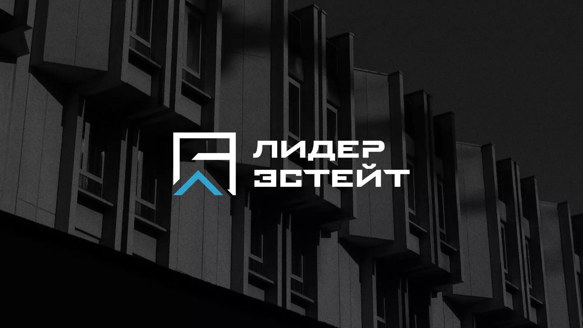 Разработка логотипа агентства недвижимости «Лидер Эстейт» в Губкинском